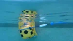 Dolphin Wave 100 Commercial Robotic Pool Cleaner - Certified Refurbished - Image 8